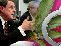 BP Oil Spill Bosses or Marijuana Drug Dealers, Who Deserves More Jail Time?