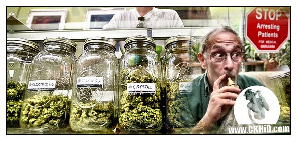 Wells Fargo & Co. Banking graphic, showcasing Hispanic Customers in Line and San Francisco protest collage