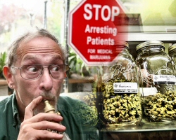 Medical Marijuana Shops Can Grow Unlimited Plans Under Arizona 2012 MMJ Law