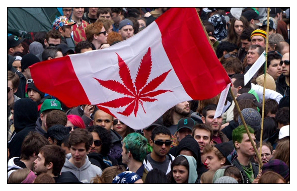 Canadian Marijuana Activists Rally With the Legalize MMJ Flag