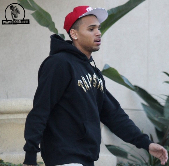 Chris Brown 2012